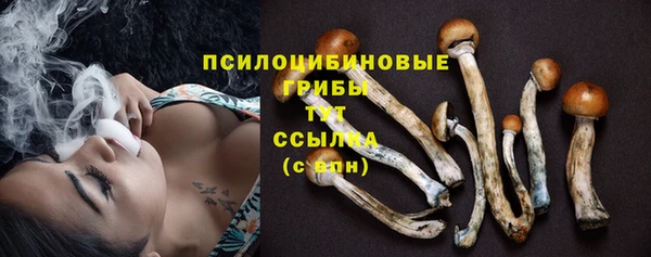 хмурый Магадан