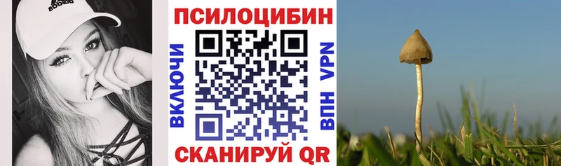 Псилоцибиновые грибы Psilocybe  hydra сайт  Меленки 